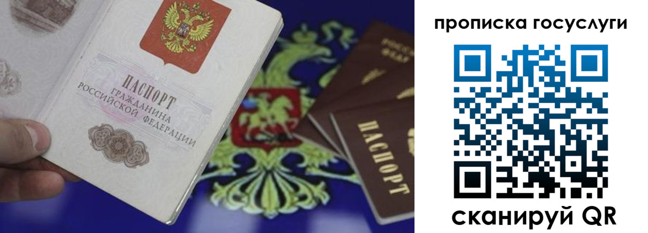 прописка для школы в Железногорск-Илимском